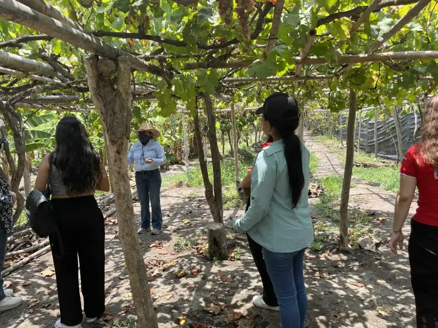 Recorrido Sostenible