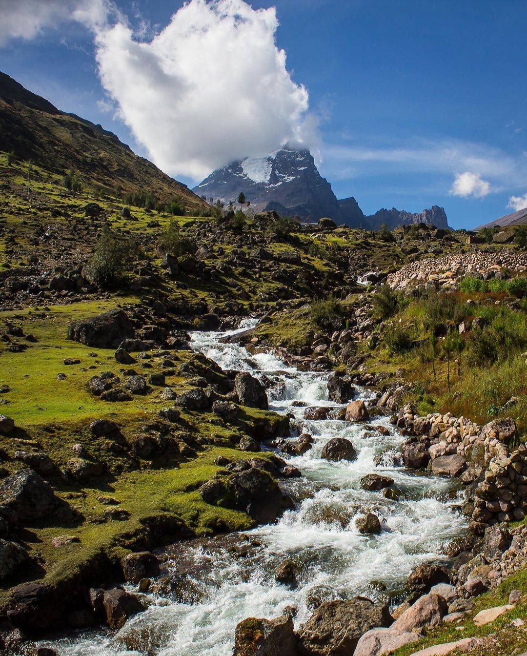 Lares