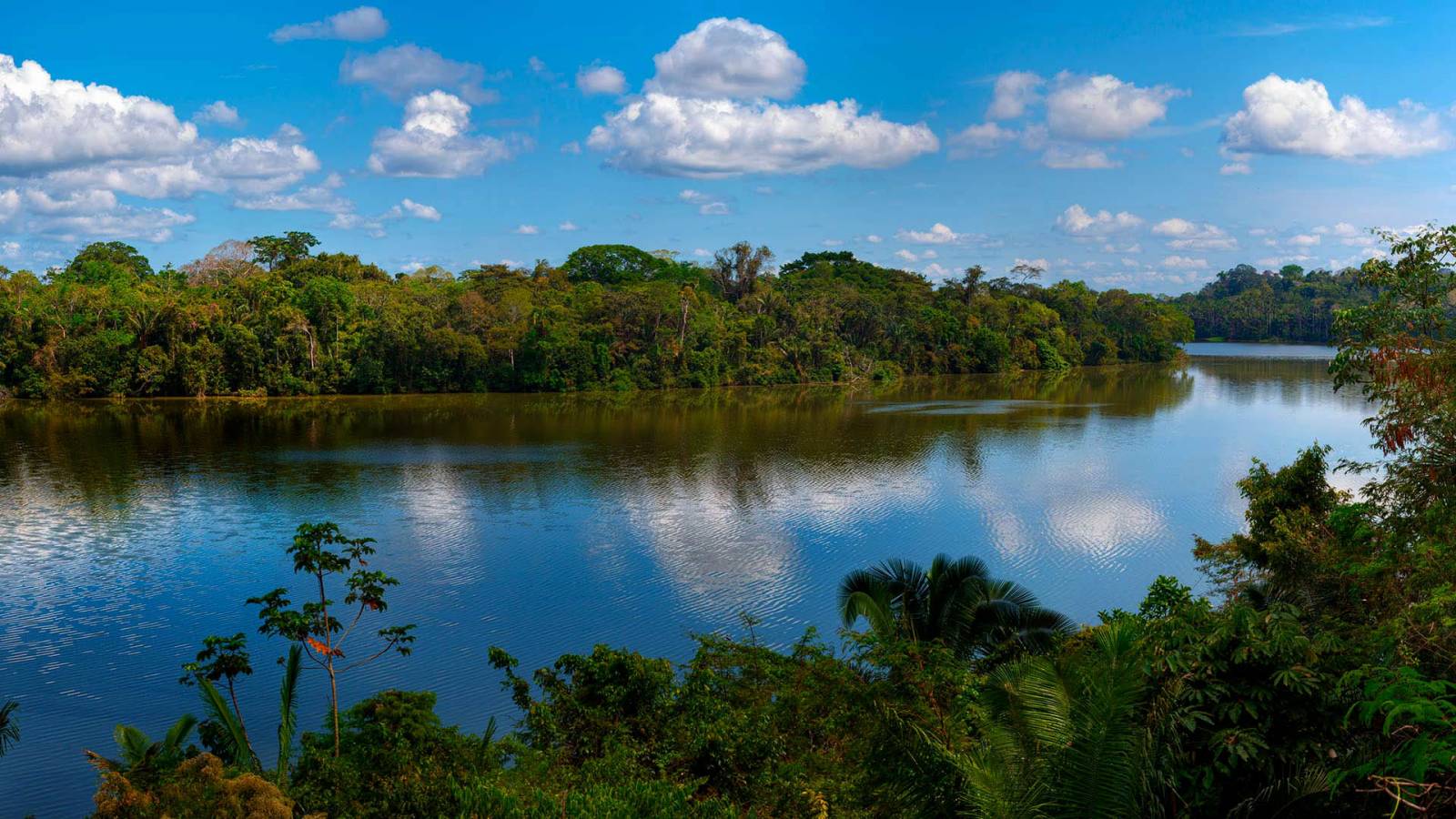 Tambopata