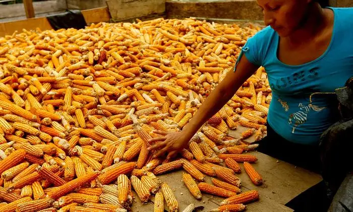 Objetivo 12: Producción y Consumo Responsables