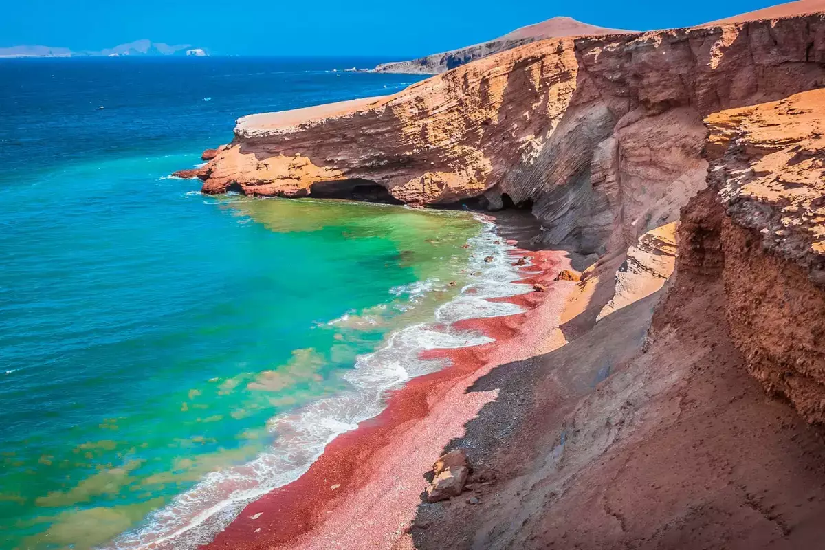 Full day Paracas -Playa la Mina -chincha